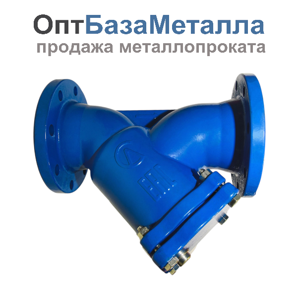 Фильтр сетчатый Y-образный чугун Ду 65 Ру16 фл ФСО, DN 65